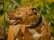 Screenshot_20230708_154715_Gallery