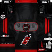 Hurricanes-Home-copy