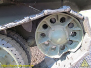 IMG-3362