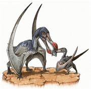 https://i.postimg.cc/948kVbHW/Ornithocheirus-dinosaurs-22591121-641-629.jpg