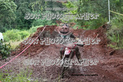 IMG-6616