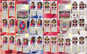 Album-Calciatori-2001-02-Panini-41