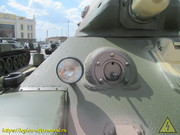 IMG-8184