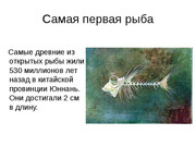 https://i.postimg.cc/94FKR07Y/img1.jpg