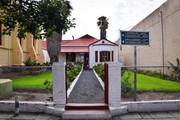 DSC-0533