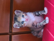 KakaoTalk_20230806_174426711_02