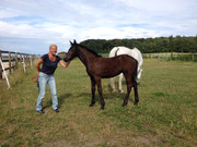 August 2022 RSAR IMG_0293