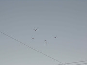 29.1.migration(question mark) I