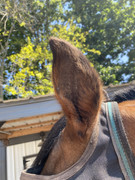 BB1857D7-4A7A-4D3E-B872-9E70E3F0D646