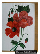 зображення_viber_2020-05-07_16-09-25