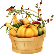 TADD_elements_Shimmer_Fall_12