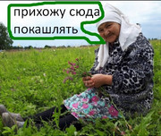 Screeykngnskunyueyunyunnshot-2