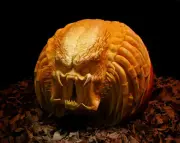 Pumpkins-0003