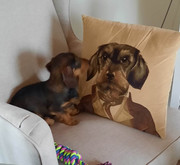 [Image: 10-6-2020-web.jpg]