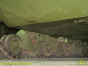 IMG-3344