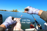 [Image: LSS-PINK-TIGER.jpg]