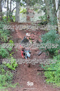 IMG-0460