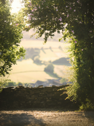 BG-only-jsw-ords-Unsplash