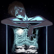 ribs
