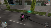 IMG-6512
