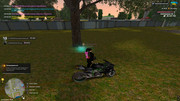 IMG-6499