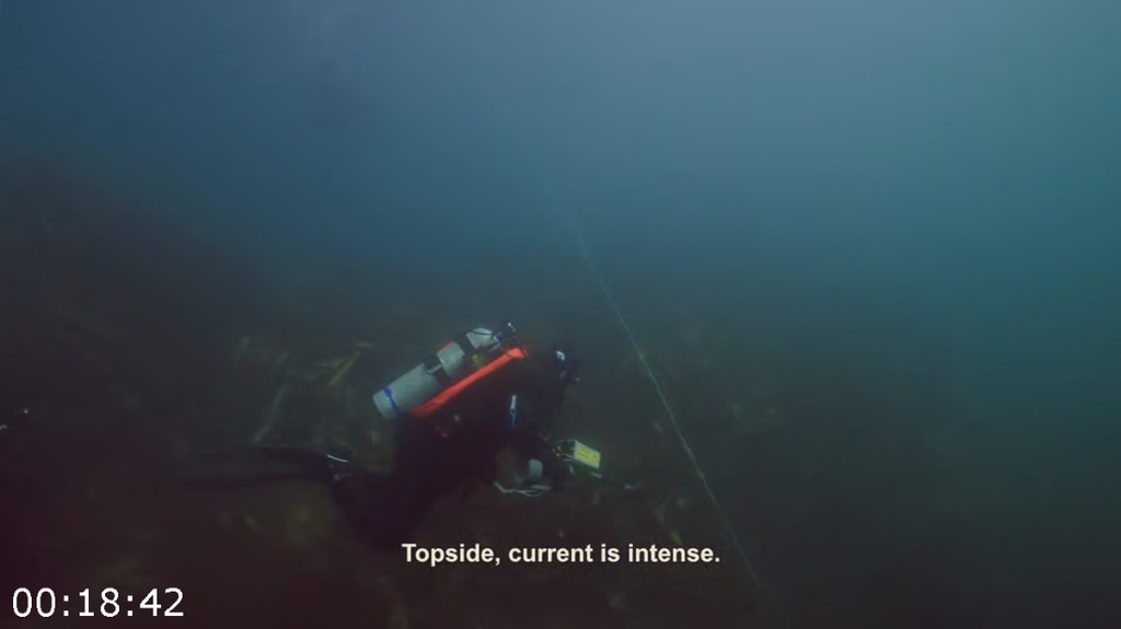 [Image: 7i4l8ejrb2no.png]