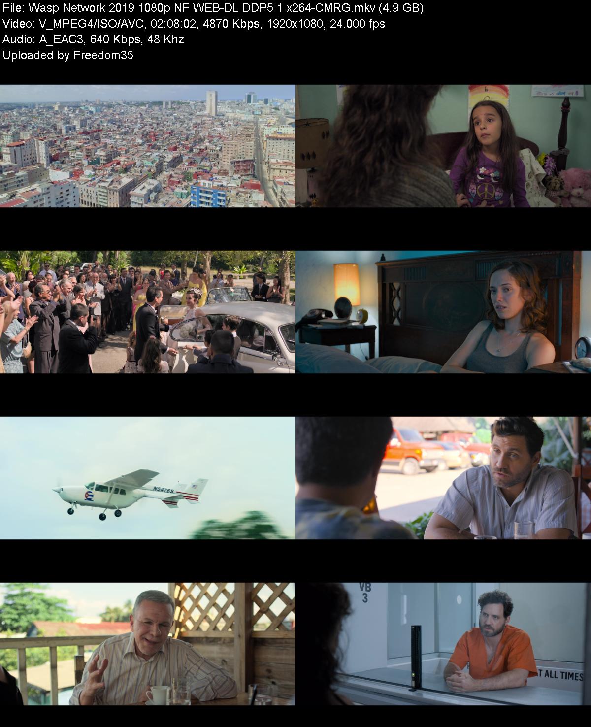 Wasp-Network-2019-1080p-NF-WEB-DL-DDP5-1