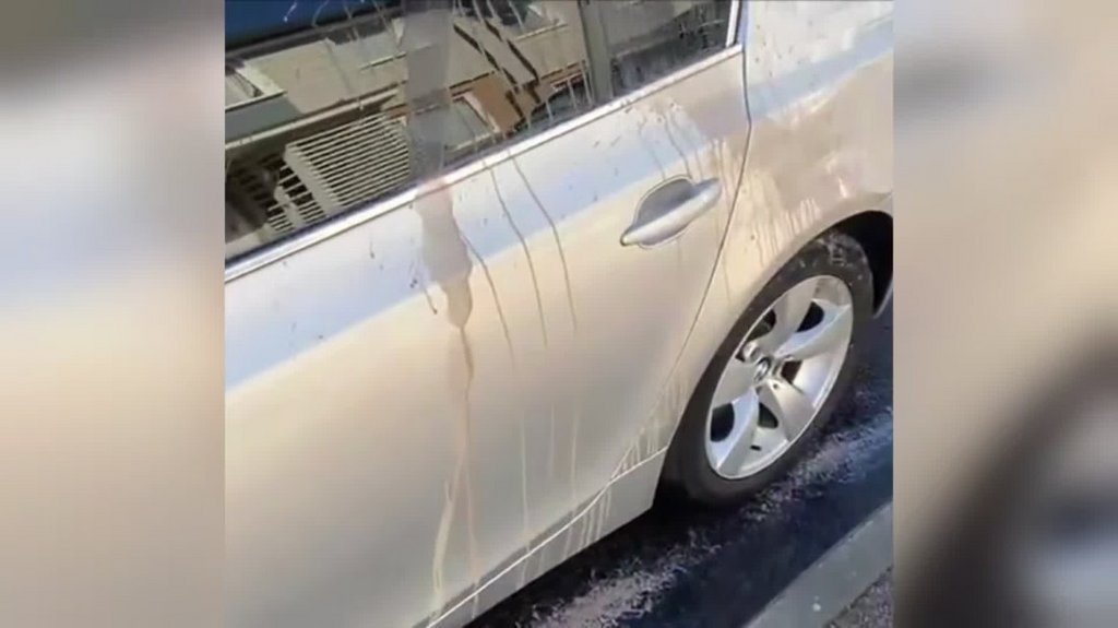 [Image: ha00bcf55eay.jpg]