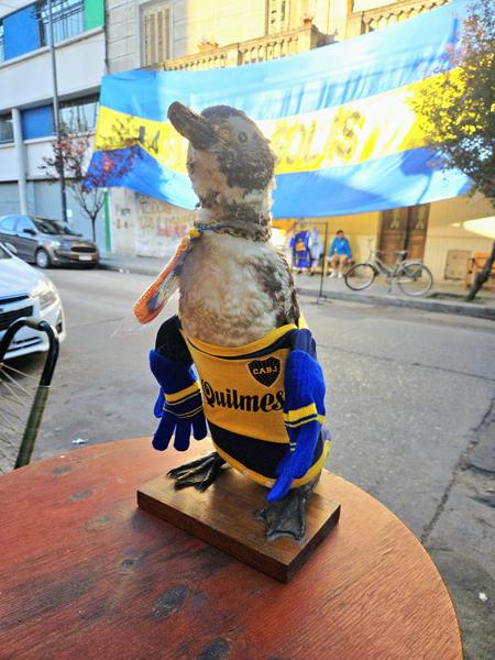 В джазе только девушки или аргентинско-бразильский калейдоскоп В джазе только девушки или аргентинско-бразильский калейдоскоп