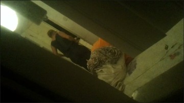 [Image: Dressing7381509420120260429.jpg]