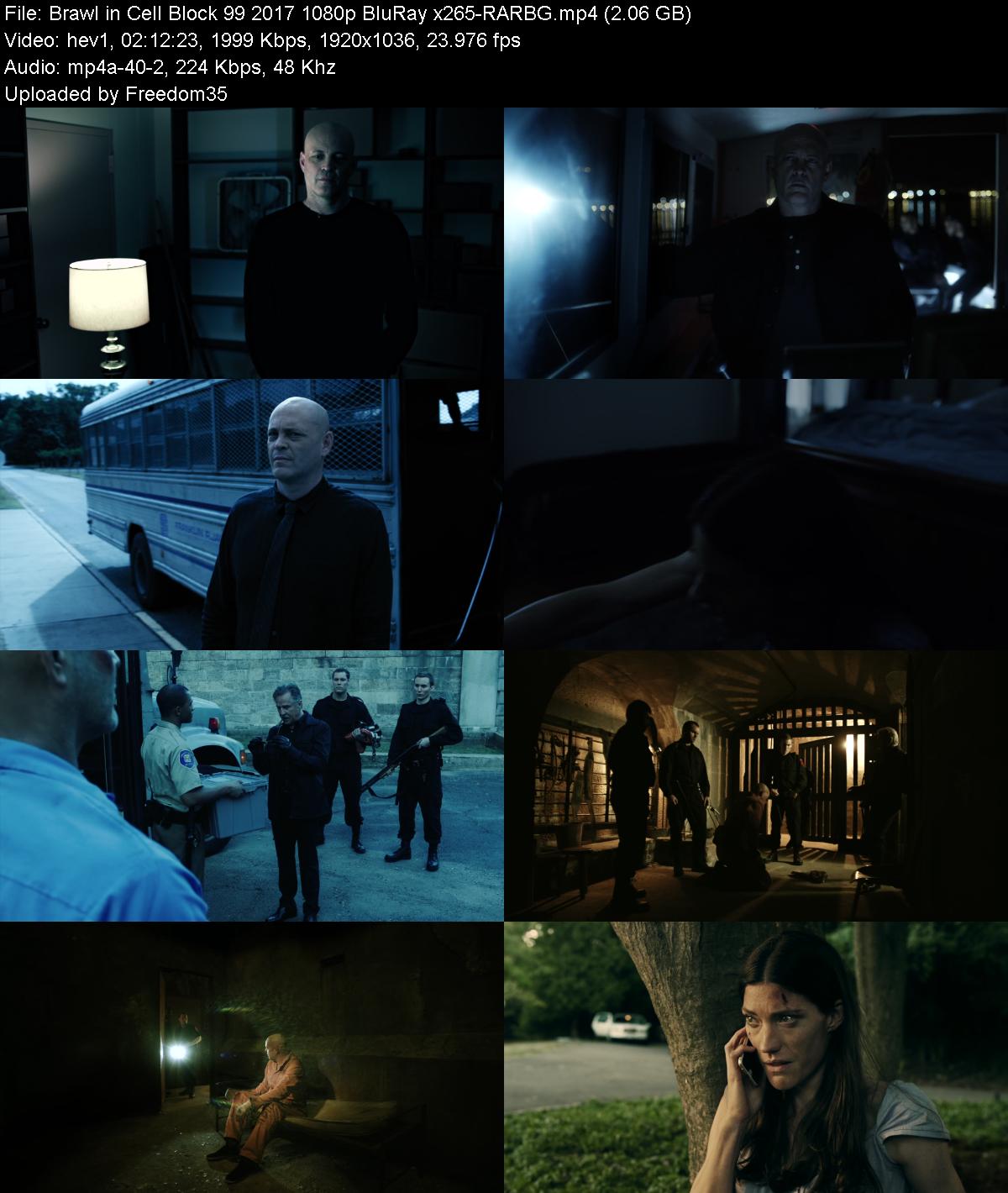 Brawl-in-Cell-Block-99-2017-1080p-Blu-Ra