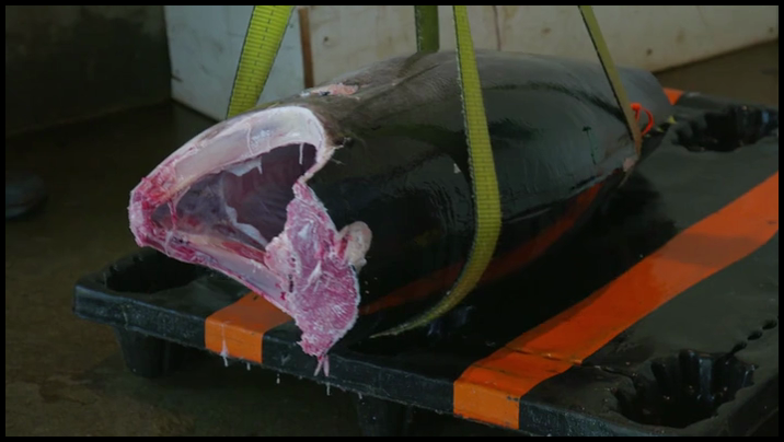 [Image: 2h2k3ydsvnh3.png]