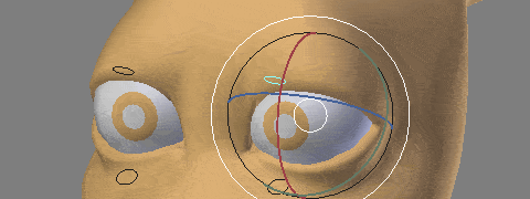 c-oxfox-eye-blink.gif