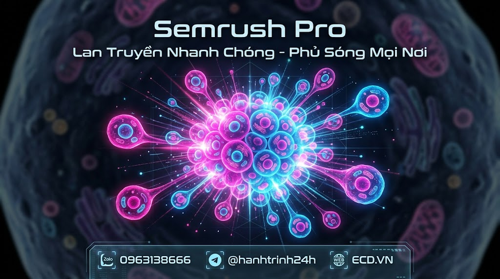 bán semrush pro giá rẻ