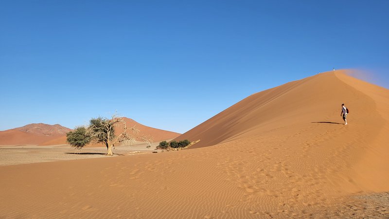Африканские каникулы - зверики Крюгера, пески Намибии, воды Виктории Африканские каникулы - зверики Крюгера, пески Намибии, воды Виктории