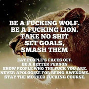 be a fucking wolf