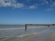 DSC01410