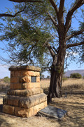DSC-0061