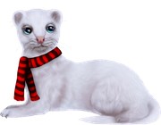 Christmas-Dreams-2