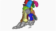 OIP-3080799995