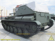 IMG-8620