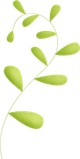 Leaves1