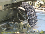 IMG-0035