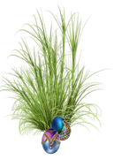0-1c1b17-1666845c-orig