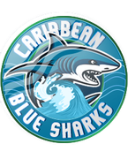 Caribbean-Blue-Sharks