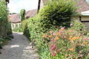 IMG-4212.jpg