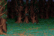 wood-lands-of-lore