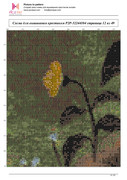 P2-P-32244104-13