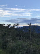 IMG-8299