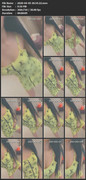 2020-04-05-20-59-22-mov